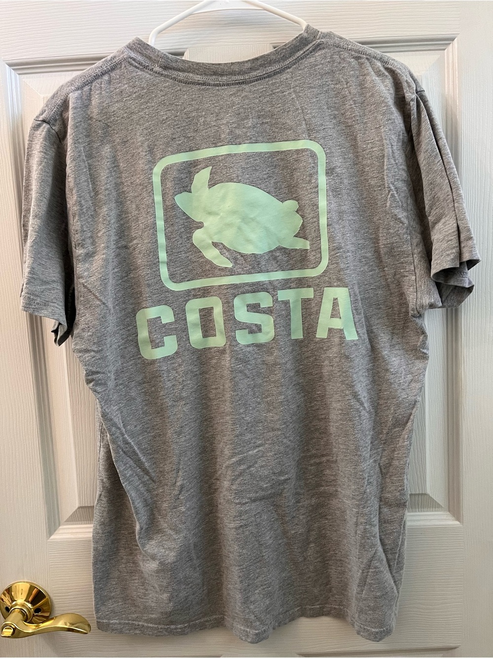Costa Gray Short-Sleeve Tee with Mint Turtle Logo